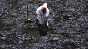 Perjuangan Bersihkan Laut Peru dari Minyak Imbas Bencana di Tonga
