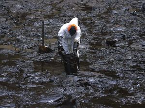 Perjuangan Bersihkan Laut Peru dari Minyak Imbas Bencana di Tonga Perjuangan Bersihkan Laut Peru dari Minyak Imbas Bencana di Tonga