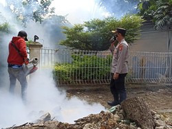 Waspada, Kasus DBD di Kota Bandung Mulai Meningkat