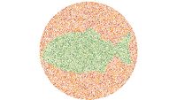 Susah Lihat Hewan di Gambar Ini? Nggak Usah Kucek Mata, Mending Cek ke Dokter