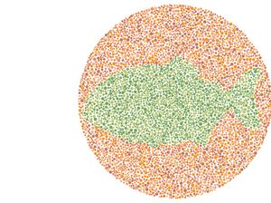 Susah Lihat Hewan di Gambar Ini? Nggak Usah Kucek Mata, Mending Cek ke Dokter