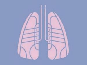 Tes Kepribadian: Gambar Paru-paru atau Sepatu yang Pertama Kali Kamu Lihat?