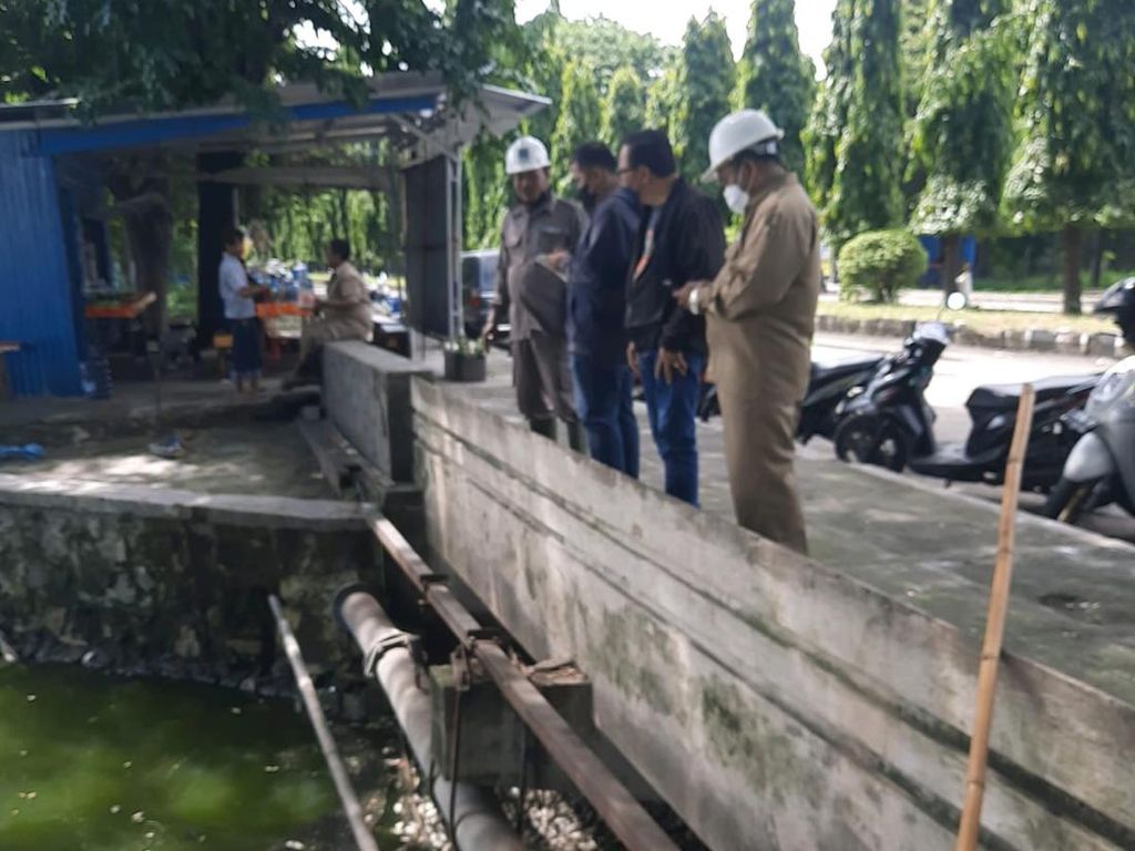 Ribuan Ikan Waduk Rungkut Industri Mati, Dinas LH Surabaya Ambil Sample Air