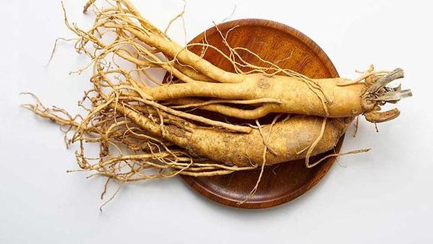 Gingseng