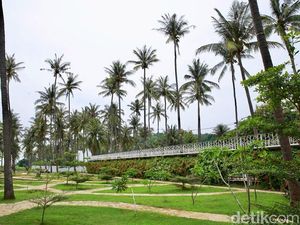 Tempat Angker dan Tidak Terawat di Banyuwangi Disulap Jadi Tempat Wisata Tempat Angker dan Tidak Terawat di Banyuwangi Disulap Jadi Tempat Wisata