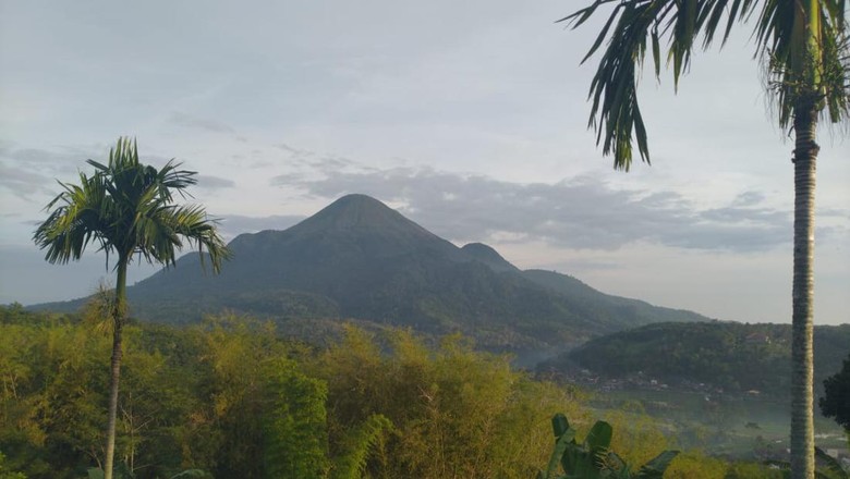 Jalur Pendakian Gunung Penanggungan Ditutup Imbas Terbakarnya Padang Rumput