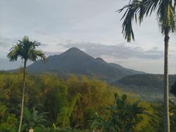Jalur Pendakian Gunung Penanggungan Ditutup Imbas Terbakarnya Padang Rumput