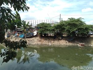 Melihat Kampung Papanggo Belakang JIS yang Disambangi Giring