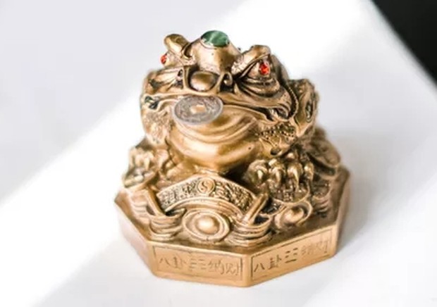 Lucky frog /Foto: The Spruce/Kara Riley Lucky frog /Foto: The Spruce/Kara Riley