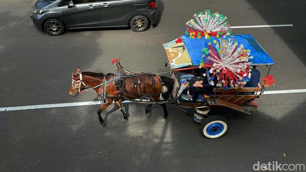 Potret Kusir Delman Berburu Rezeki di Kawasan Monas