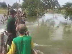 Warga di Bojonegoro Gotong Royong Perbaiki Tanggul Jebol