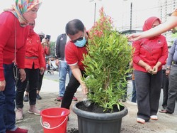 Rayakan HUT PDIP, Basarah Lakukan Gerakan Tanam 150.000 Pohon