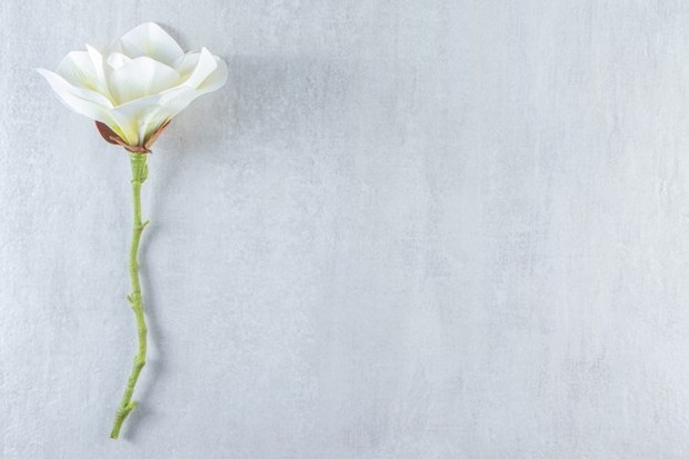 Barang yang dilarang dijadikan kado saat imlek