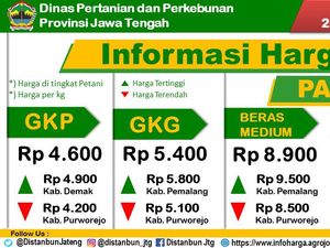 Daftar Harga Beras-Cabai di Jateng Per Senin 24 Januari 2022