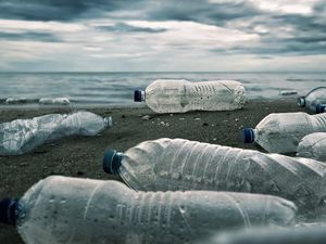 Pertama Kalinya! Mikroplastik Ditemukan di Pembuluh Darah Manusia