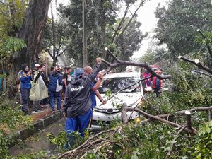 Baliho Roboh-Pohon Tumbang, 24 Titik Terdampak Cuaca Ekstrem di Kota Bogor