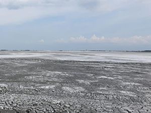 Mengenal Logam Tanah Jarang, si Harta Karun Lumpur Lapindo Mengenal Logam Tanah Jarang, si Harta Karun Lumpur Lapindo