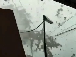 Mencekam! Detik-detik Hujan Angin di Bogor Sebabkan Mobil Tertimpa Dahan