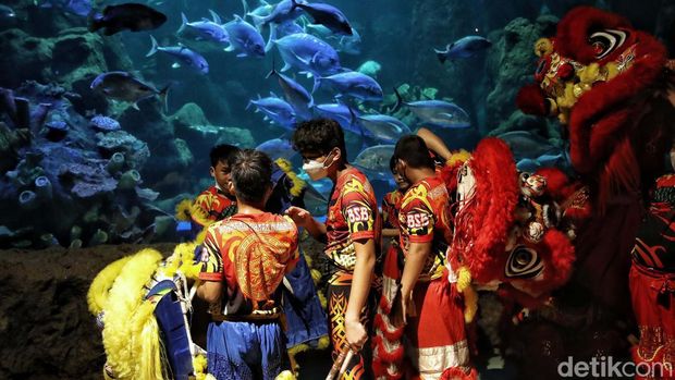 Barongsai beraksi menghibur pengunjung dalam pertunjukan bertajuk 