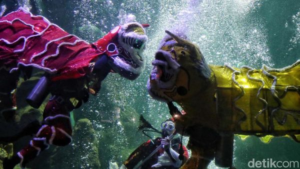Wah Gila! Ada Atraksi Barongsai di Dalam Air