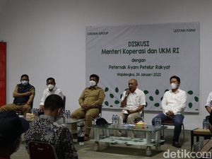 Curhat ke Menkop UKM, Peternak Ayam di Majalengka: Jagung Mahal Pak!