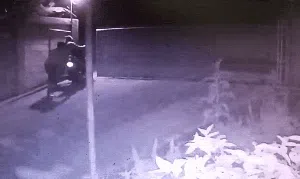 Detik-detik Pencuri Gondol Motor Lalu Dibakar di Sukabumi