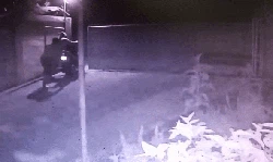 Detik-detik Pencuri Gondol Motor Lalu Dibakar di Sukabumi