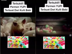 Permen Yupi Disebut Terbuat dari Kulit Babi, Ini Penjelasan LPPOM MUI