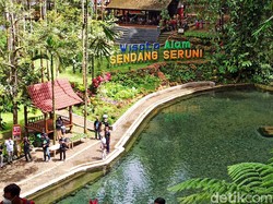 Sendang Seruni Wisata Alam yang Muncul untuk Selamatkan Hutan Bambu