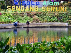 Menikmati Berendam di Sendang Seruni yang Terbentuk dari 7 Mata Air Gunung Ijen