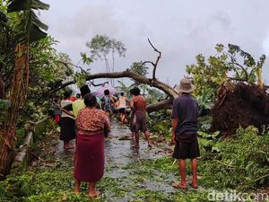 Angin Kencang Terjang 6 Kecamatan di Probolinggo, 36 Rumah Rusak Angin Kencang Terjang 6 Kecamatan di Probolinggo, 36 Rumah Rusak