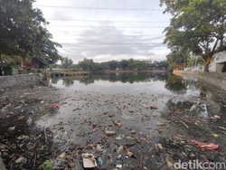 Pemkab Bogor Paksa 3 Perusahaan Cemari Situ Citongtut Tutup Saluran Limbah