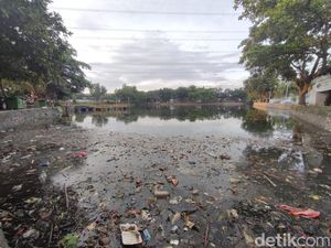 Pemkab Bogor Paksa 3 Perusahaan Cemari Situ Citongtut Tutup Saluran Limbah Pemkab Bogor Paksa 3 Perusahaan Cemari Situ Citongtut Tutup Saluran Limbah