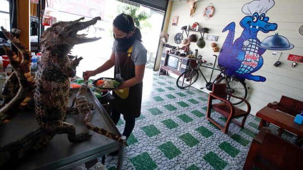 Daging Buaya Mendadak Laris Manis di Thailand, Ada Apa?