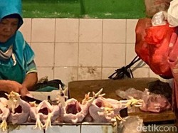 Harga Ayam Mulai Merangkak Naik, Tembus Rp 60 Ribu