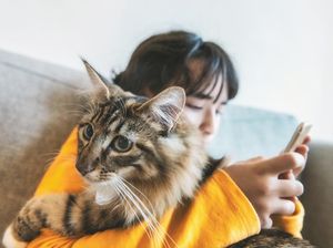A-Z Jamur Ringworm Kucing dan 10 Cara Mencegah Penularannya A-Z Jamur Ringworm Kucing dan 10 Cara Mencegah Penularannya