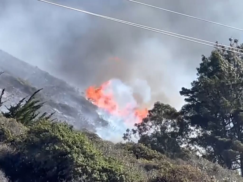 Kebakaran Hutan di AS, 283 Hektare Lahan Habis Dilahap Api Kebakaran Hutan di AS, 283 Hektare Lahan Habis Dilahap Api