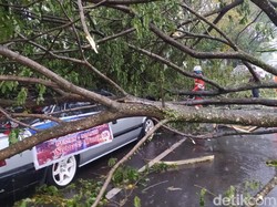 Angin Kencang Terjang Ciamis, Tiga Mobil Tertimpa Pohon
