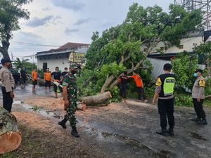 Banyak Pohon Tumbang Saat Hujan Angin Melanda Magetan, Satu Ruko Tertimpa