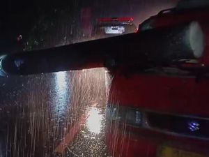 Pohon Tumbang Timpa Angkot Rombongan Pelayat di Pekalongan