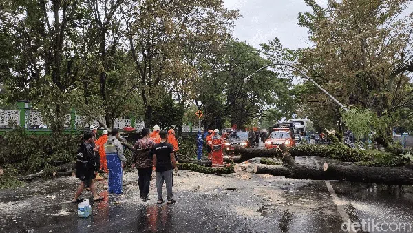 Potret Ciamis Porak Poranda Diterjang Angin Kencang