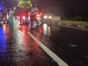 Sidoarjo Diguyur Hujan Deras Disertai Angin Kencang, Sejumlah Pohon Tumbang