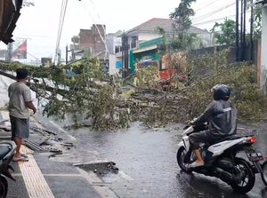 Tasik Dilanda Hujan Es-Angin Kencang, Pohon Tumbang Timpa Jalur Utama