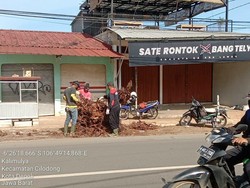 Sempat Dikeluhkan, Batang Pohon Sisa Penebangan di Depok Mulai Diangkut