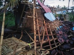 Rumah Warga Banyuwangi Ambruk-Puluhan Pohon Tumbang Diterjang Angin Kencang