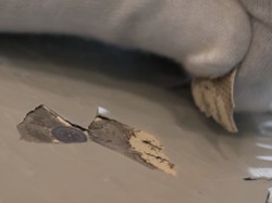 Melihat Kondisi Kerusakan Serius Pesawat Airbus A350 Qatar Airways