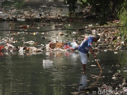 Penampakan Sungai Cicadas Tercemar Sampah, Timbulkan Bau Tak Sedap