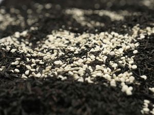 Penampakan Narkoba yang Disembunyikan dalam 7 Ton Teh di Lebanon