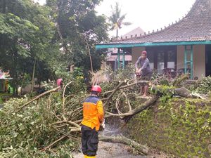 Puting Beliung Terjang Srikandang Jepara, Puluhan Rumah Rusak