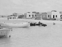 Film Dokumenter Ungkap Pembantaian Warga Palestina oleh Israel